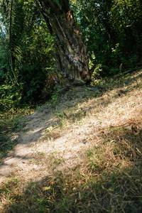 BIB: 
                            <button type="button" onclick="openModal(28127110)" class="btn btn-primary btn-sm float-right btn-popup" data-toggle="modal" data-target=".modal-high-quality">
                        <i class="fas fa-shopping-cart"></i> Add to Cart
                    </button>
                                            <button type="button" onclick="isThisMe(28127110, true)" class="btn btn-success btn-sm float-right btn-popup btn-isme hidden" data-toggle="tooltip" data-placement="bottom" title="นี่คือรูปของคุณใช่ไหม คลิกที่นี่เพื่อเอาเข้าอัลบั้ม">
                        <i class="fas fa-plus"></i> Add to album
                    </button>
                    <button type="button" onclick="isThisMe(28127110, false)" class="btn btn-warning btn-sm float-right btn-popup btn-isnotme hidden">
                        <i class="fas fa-ban"></i> Remove from album
                    </button>